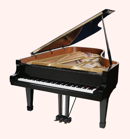 Krishnaa Music Classes & Gallery